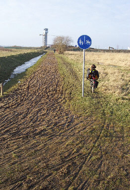 Geh-Reitweg als Teil des Nordsee-Radwegs und des Elberadweges